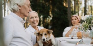 Corgis 101: Are They the Right Fit for First-Time Owners? Smiling Elderly Woman Holding Her Pet
